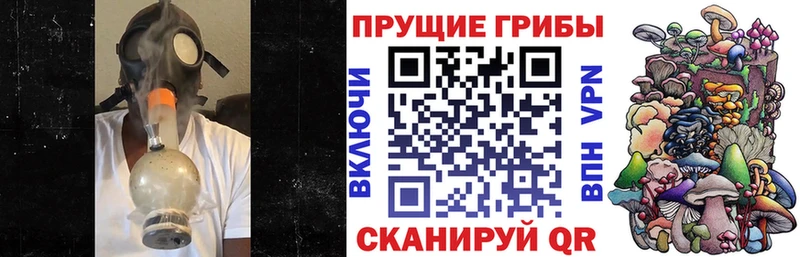 Псилоцибиновые грибы GOLDEN TEACHER MEGA зеркало Гулькевичи